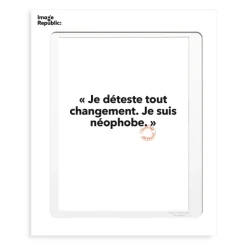 Affiche Loic Prigent Je Deteste Tout - 30 X 40 Cm-Image Republic Online