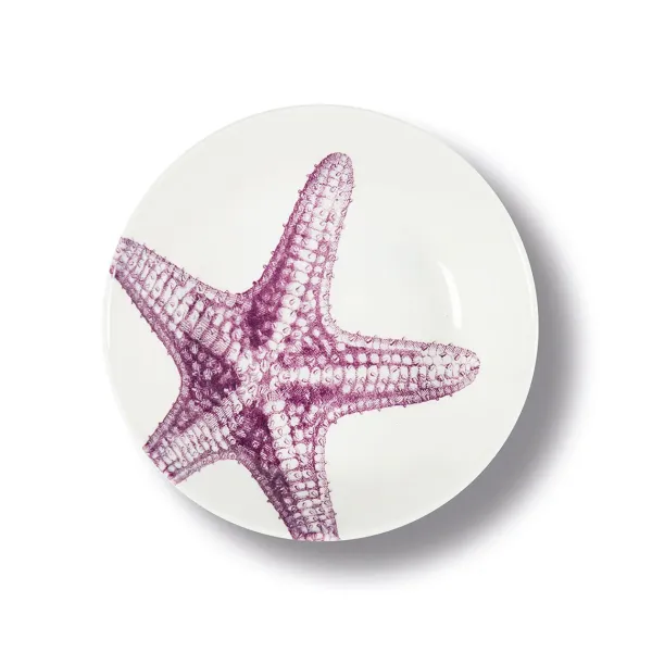 assiette_creuse_etoile_de_SKUf732521ed00c9d6101ec76c5b38dd5a8_0.webp Assiette Creuse Etoile De Mer En Porcelaine - O 20 Cm-Sélectionné par Fleux