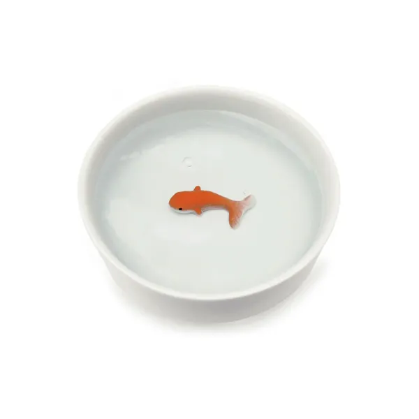 bol_poisson_rouge_pour_ch_SKU4b2e3fa17abc3aaf1965e66b53b52af5_0.webp Bol Poisson Rouge Pour Chat-Sélectionné par Fleux Online