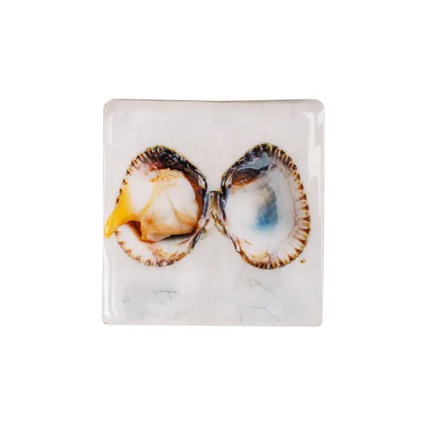dcoration_murale_coque____SKU33083b4e985408087675aba66a3dda8d_0.webp Décoration Murale Coque - 20 X 20 Cm-Stigerwoods Sale