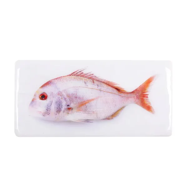 dcoration_murale_daurade__SKUcd7671599dd18eea5fc584bf6844c49e_0.webp Décoration Murale Daurade Rose - 40 X 20 Cm-Stigerwoods New