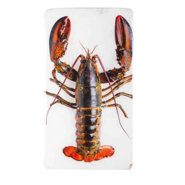 dcoration_murale_homard_s_SKU1ec3916942b8dab79d08075a2fd334e9_0.webp Décoration Murale Homard Sur Glace Sur Fond Blanc - 20 X 35 Cm-Stigerwoods Clearance