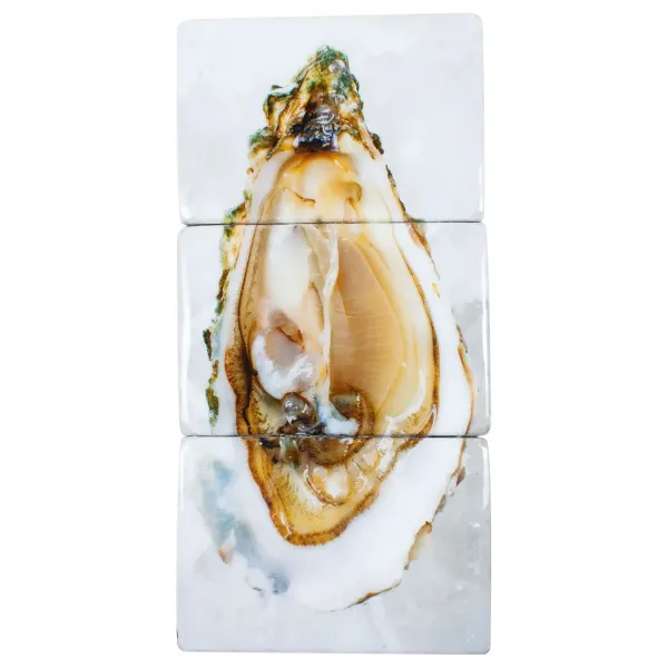 dcoration_murale_huitres__SKUe6a7b29100dfde7db9d0fa675d219264_0.webp Décoration Murale Huitres - 29 X 60 Cm-Stigerwoods Sale