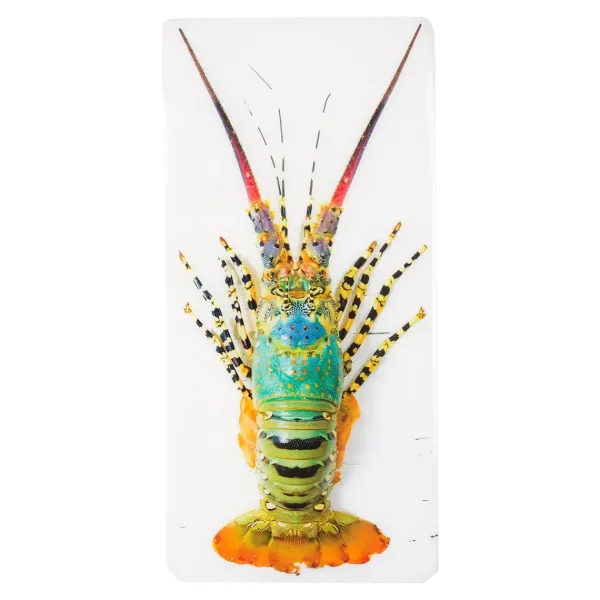 dcoration_murale_jual_hom_SKU989829eaf7f0ca8bf4207b7a7723cb3f_0.webp Décoration Murale Jual Homard Laut - 20 X 40 Cm-Stigerwoods Best