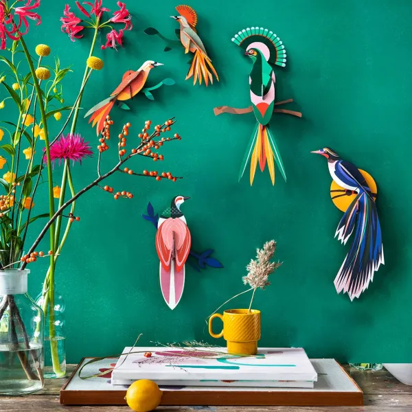dcoration_murale_oiseau_d_SKUf7df316a5f23815364ed2a49dfa7ea77_1.webp Décoration Murale Oiseau De Paradis Rani-Studio Roof Best