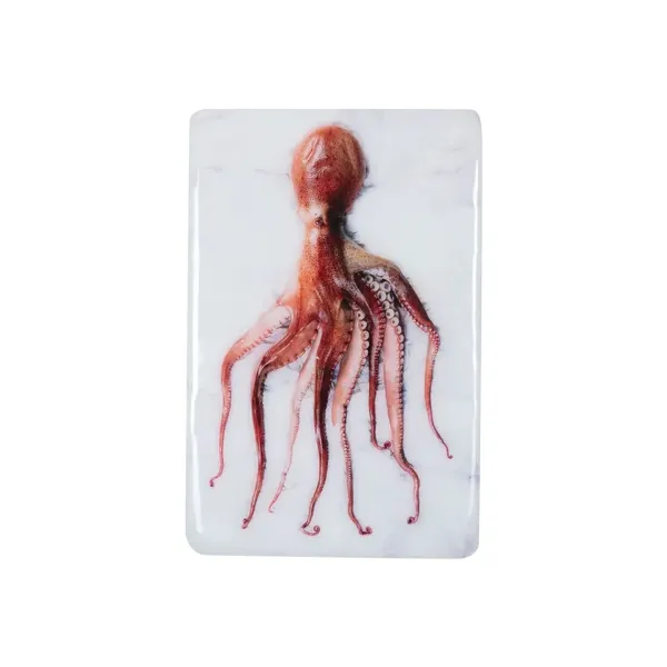 dcoration_murale_poulpe_p_SKU9846eeb79eb1985dd030b4e67797e869_0.webp Décoration Murale Poulpe Portugais Rouge Sur Fond Blanc - 20 X 29 Cm-Stigerwoods Best