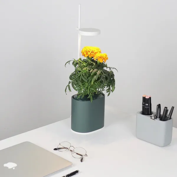 jardin_dinterieur_connect_SKU43e64cb88cf1bf7bfa8febccfcdc0acb_1.webp Jardin D'Interieur Connecte Nano Garden - Vert Foret-Prêt à pousser Outlet