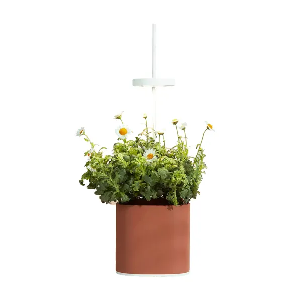 jardin_dinterieur_connect_SKUeb4cc246e8c48a6a72cf7930804894e1_0.webp Jardin D'Interieur Connecte Nano Garden - Terracotta-Prêt à pousser Online