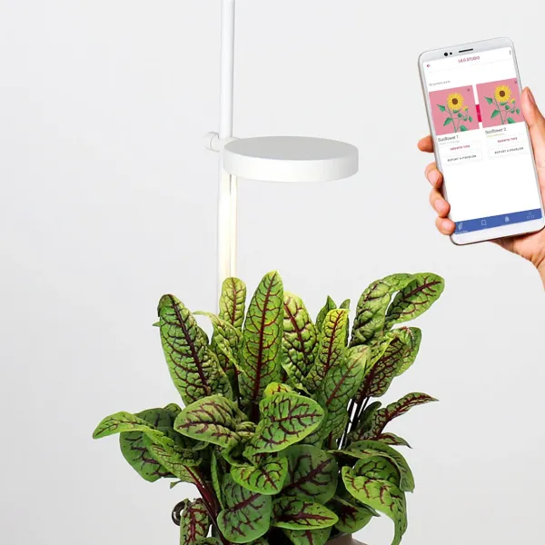 jardin_dinterieur_connect_SKUeb4cc246e8c48a6a72cf7930804894e1_2.webp Jardin D'Interieur Connecte Nano Garden - Terracotta-Prêt à pousser Online