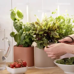 Jardin D'Interieur Connecte Nano Garden - Terracotta-Prêt à pousser Online