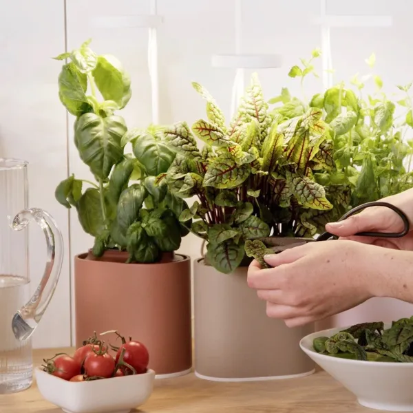 jardin_dinterieur_connect_SKUeb4cc246e8c48a6a72cf7930804894e1_3.webp Jardin D'Interieur Connecte Nano Garden - Terracotta-Prêt à pousser Online