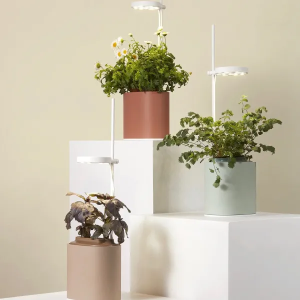 jardin_dinterieur_connect_SKUeb4cc246e8c48a6a72cf7930804894e1_4.webp Jardin D'Interieur Connecte Nano Garden - Terracotta-Prêt à pousser Online