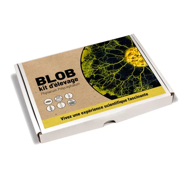 kit_delevage_blob_SKU83099621a1b23a70fff071be900d44f5_0.webp Kit D'Elevage Blob-Sélectionné par Fleux Online