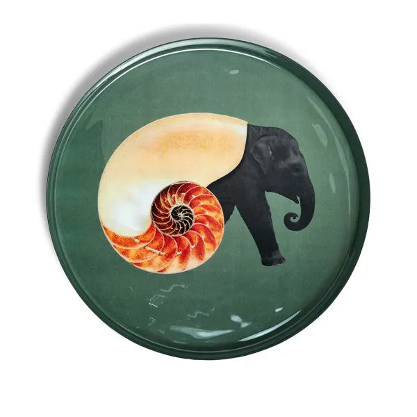 plateau_rond_shellphant_SKU03f2fc3f8fd7a0aa4a8f2de54af63d97_0.webp Plateau Rond Shellphant-Gangzai Online