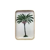 Plateau Solo - Palmier-Boncoeurs New