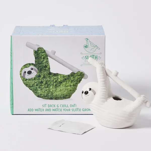 pot__jardiniere_chia__par_SKUeca71c3691b845f5d6b43816cc544a4d_3.webp Pot / Jardiniere Chia - Paresseux-Sélectionné par Fleux Sale
