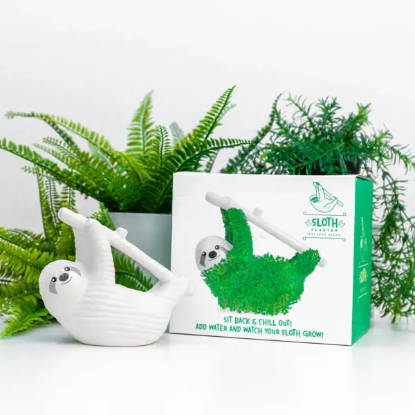 pot__jardiniere_chia__par_SKUeca71c3691b845f5d6b43816cc544a4d_4.webp Pot / Jardiniere Chia - Paresseux-Sélectionné par Fleux Sale
