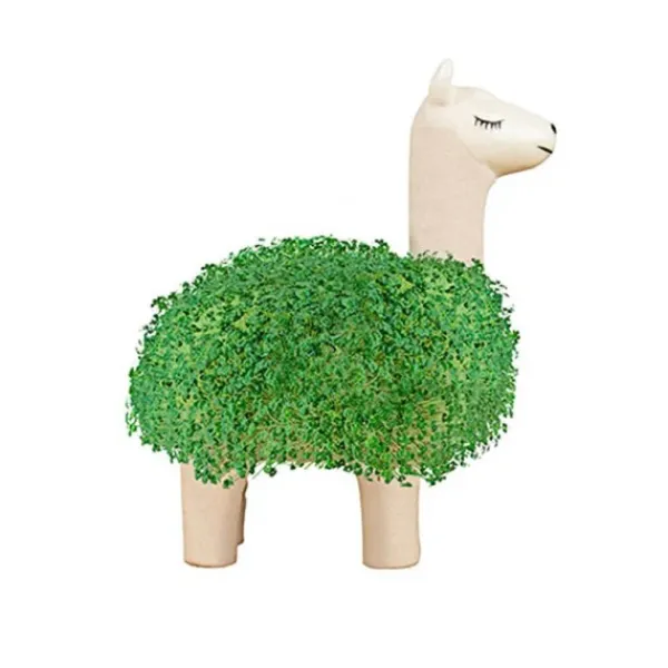 pot__jardiniere_chia_lama_SKU82bb7c8687bb3d05e4d994201696d2c9_0.webp Pot / Jardiniere Chia Lama-Sélectionné par Fleux