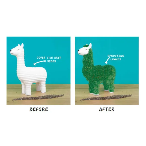 pot__jardiniere_chia_lama_SKU82bb7c8687bb3d05e4d994201696d2c9_1.webp Pot / Jardiniere Chia Lama-Sélectionné par Fleux