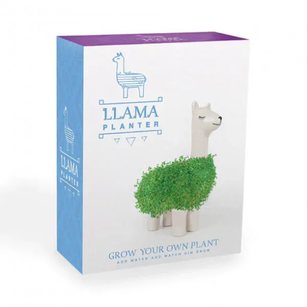 pot__jardiniere_chia_lama_SKU82bb7c8687bb3d05e4d994201696d2c9_2.webp Pot / Jardiniere Chia Lama-Sélectionné par Fleux