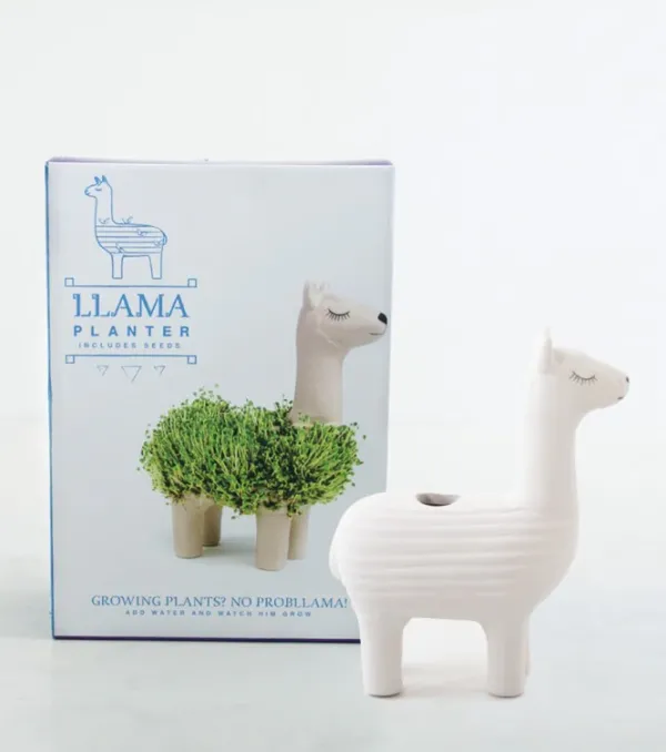 pot__jardiniere_chia_lama_SKU82bb7c8687bb3d05e4d994201696d2c9_3.webp Pot / Jardiniere Chia Lama-Sélectionné par Fleux