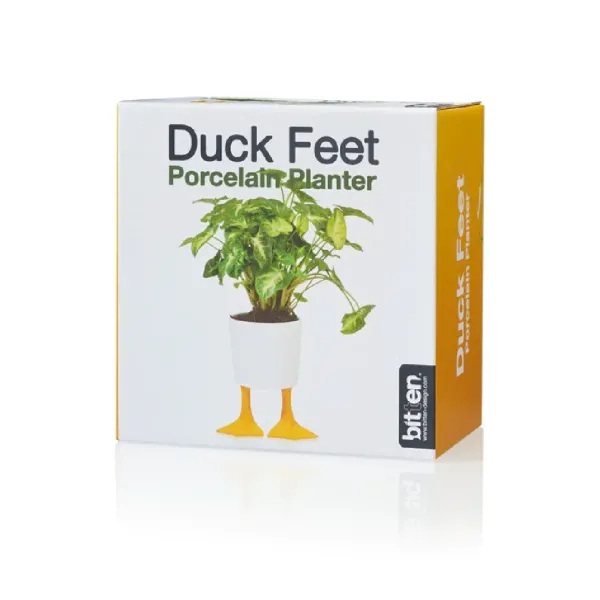 pot__jardiniere_pieds_can_SKU66202d4daedd5ecd3fdf1a1b5ad4f9a0_1.webp Pot / Jardiniere Pieds Canards - Jaune & Blanc-Sélectionné par Fleux Best