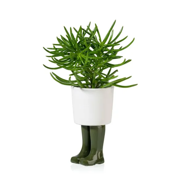 pot__jardiniere_wellingto_SKUbce86340c10ecfc5da40b4c55555b12b_1.webp Pot / Jardiniere Wellington Petit - Vert-Sélectionné par Fleux Discount