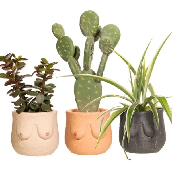 pot_boob___x_o__cm__coule_SKU9bcd01b87cc4173351e302e50557939e_1.webp Pot Boob - 8 X O 8 Cm - Couleur Aleatoire-Sélectionné par Fleux