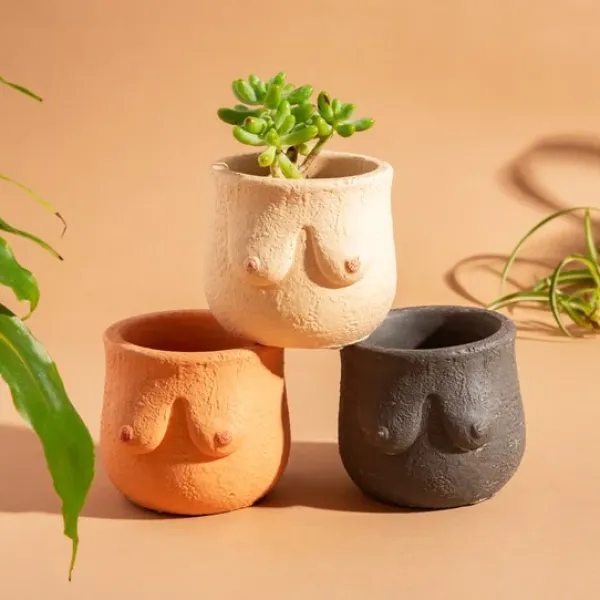 pot_boob___x_o__cm__coule_SKU9bcd01b87cc4173351e302e50557939e_2.webp Pot Boob - 8 X O 8 Cm - Couleur Aleatoire-Sélectionné par Fleux
