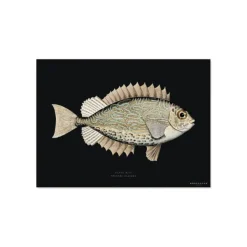 Set De Table Rectangle Poisson Secret En Vinyle - 33 X 45 Cm - Noir-Pôdevache Sale