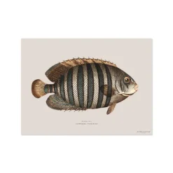 Set De Table Rectangle Poisson Avadi - 33 X 45 Cm-Pôdevache Hot