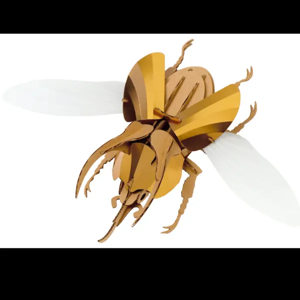 trophee_origami_scarabee__SKUd967c0eb46bf1bf88b35149a89b8cc85_0.webp Trophee Origami Scarabee Atlas Dore-Assembli