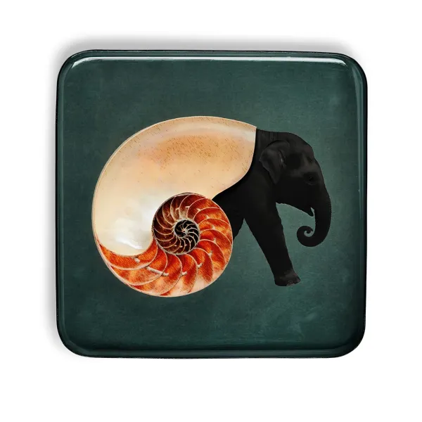 videpoche_carre_shellepha_SKU0382806de19b760d027ab41884e3b0ba_0.webp Vide-Poche Carre Shellephant En Fer - 15 X 15 Cm-Gangzai Outlet